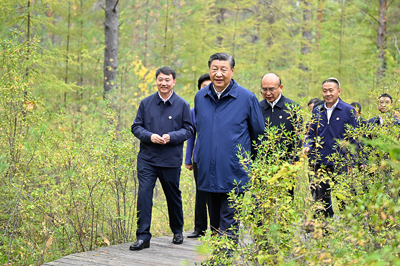 9月6日至8日，，，，中共中央总书记、国家主席、中央军委主席习近平在黑龙江考察。。。。这是6日下昼，，，，习近平在大兴安岭地区漠河市漠河林场自然林区考察